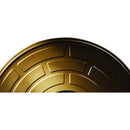 Film for Classics Professional Ektar 100 Color Negative Film (828 Roll Film)