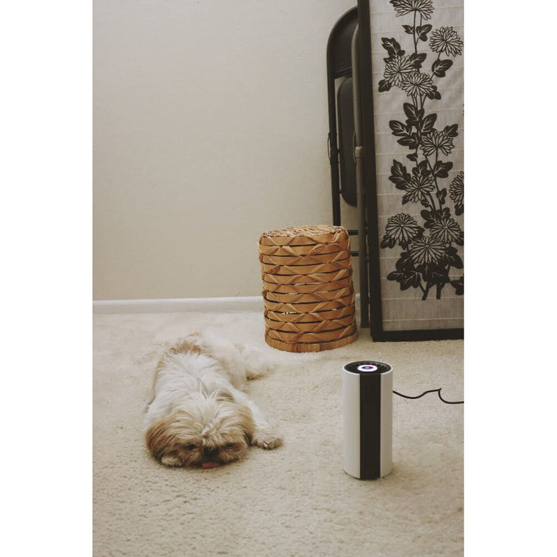 myGEKOgear Cyclone O2 Air Purifier