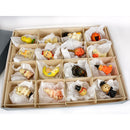 Archival Methods 16-Compartment Object Storage Full-Top Box