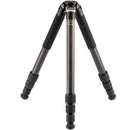 Robus RCC-5560 Vantage Series C 4-Section Carbon Fiber Compact Tripod with RTH-1030 Triple Action Ball Head Kit