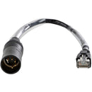 Lex Products DMX5PM-RJ45 DMX 5-Pin Male XLR to Ethernet Adapter (1')