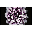 Samsung IWJ-146 with 0.8mm UHD 4x4