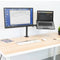 Mount-It! MI-4352LTMN Laptop Desk Stand and Monitor Mount