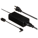 Fishman Loudbox Mini Charge Wall Charger (US)