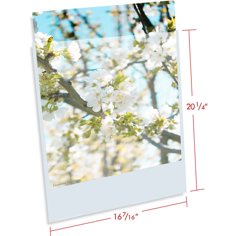 Print File 3.2 mil BOPP Presentation Pocket (16 x 20", 100-Pack)