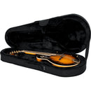 Gator GL Series Mandolin Case