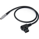 ANDYCINE D-Tap to LEMO 2-Pin Male Power Cable (20")