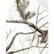LensCoat Cover for the Sigma 170-500mm Telephoto Lens (Realtree AP Snow)