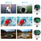 Apexel 6-in-1 Smartphone Lens Kit
