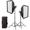 Godox Litemons LA200Bi Bi-Color LED 2-Light Kit with Stands and Softboxes