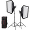 Godox Litemons LA200D Daylight LED 2-Light Kit with Stands and Softboxes