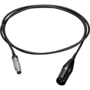 Bright Tangerine Prodigy Power Cable (4.9')