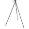 3 Legged Thing Legends Mike Carbon Fiber Tripod with AirHed Cine-V Fluid Head System