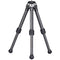 Sunwayfoto T16C20N II Mini Carbon Fiber Tripod Legs
