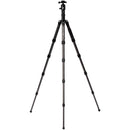 Benro MeFOTO GlobeTrotter Pro Carbon Fiber Travel Tripod with Photo Ball Head (Black)