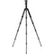 Benro MeFOTO GlobeTrotter Pro Carbon Fiber Travel Tripod with Photo Ball Head (Black)