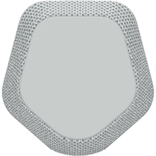 Sony SRS-XE200 Portable Bluetooth Speaker (Light Gray)