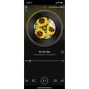 Vanco 2x30W In-Wall Wi-Fi Streaming Amplifier