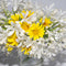Nisha Close-Up Lens +2 (82mm)