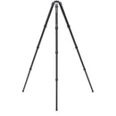 Benro Mammoth Carbon Fiber Tripod