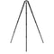 Benro Mammoth Carbon Fiber Tripod