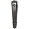 Benro Mammoth Carbon Fiber Tripod