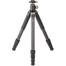 Robus RCC-5560 Vantage Series C 4-Section Carbon Fiber Compact Tripod with RTH-1030 Triple Action Ball Head Kit