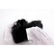 Kase Optical Cleaning Kit