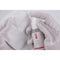 Kase Optical Cleaning Kit