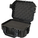 Seahorse 430 Protective Case with Foam&nbsp;(Black)