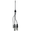 ProLights Male to Female USB-C Power Injector plus DMX In/Out