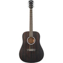 Washburn Deep Forest Dreadnought Acoustic Guitar (Striped Ebony)