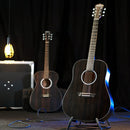Washburn Deep Forest Dreadnought Acoustic Guitar (Striped Ebony)