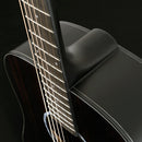 Washburn Deep Forest Dreadnought Acoustic Guitar (Striped Ebony)