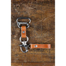 HoldFast Gear Belt Anchor Bridle (Tan)