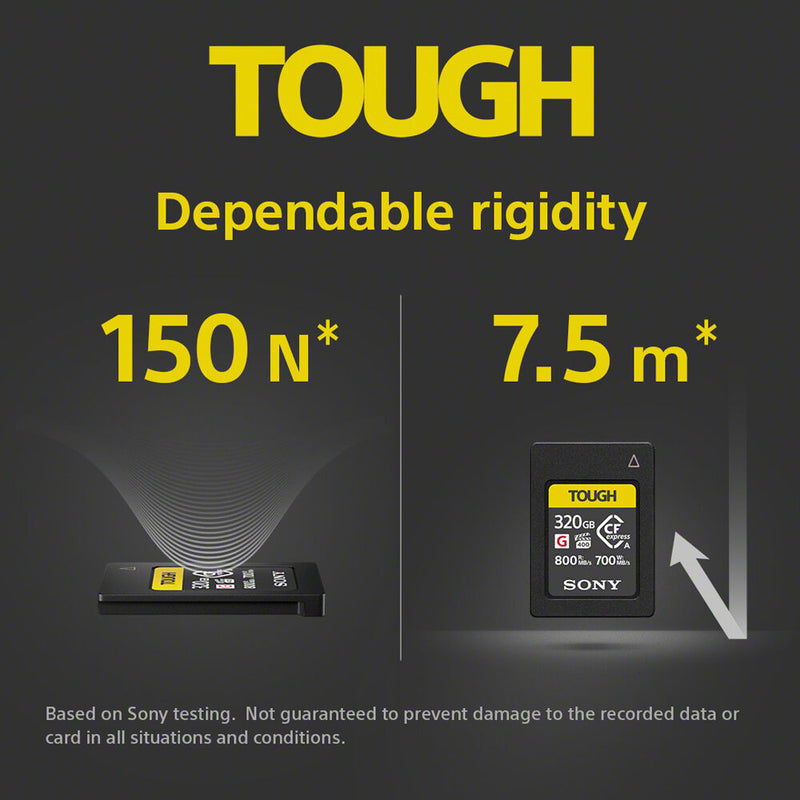 sony cfexpress type a price