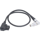 DigitalFoto Solution Limited 360 Swivel Right-Angle Power Cable for RED EPIC (3.3')