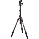 3 Legged Thing Punks Brian 2.0 Carbon Fiber Tripod with AirHed Neo 2.0 Ball Head (Matte Black)