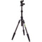 3 Legged Thing Punks Brian 2.0 Carbon Fiber Tripod with AirHed Neo 2.0 Ball Head (Matte Black)