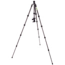 3 Legged Thing Punks Brian 2.0 Carbon Fiber Tripod with AirHed Neo 2.0 Ball Head (Matte Black)