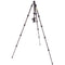 3 Legged Thing Punks Brian 2.0 Carbon Fiber Tripod with AirHed Neo 2.0 Ball Head (Matte Black)
