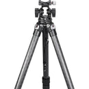 Sunwayfoto DT-03S Tilt Head with QR Arca-Type Quick Release