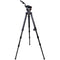 Cartoni Focus 10 Fluid Head with Stabilo Tripod Legs (100mm)