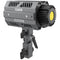 COLBOR CL100XM Daylight LED Video Monolight