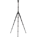 Benro MeFOTO GlobeTrotter Pro Carbon Fiber Travel Tripod with Photo Ball Head (Black)