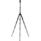 Benro MeFOTO GlobeTrotter Pro Carbon Fiber Travel Tripod with Photo Ball Head (Black)