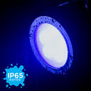 American DJ Encore LP5IP Heavy-Duty IP65 Outdoor-Rated LED PAR (RGBL)