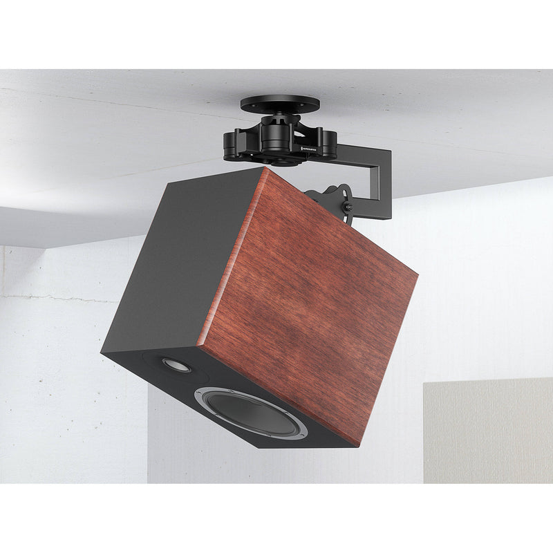 IsoAcoustics V120 C-Bracket