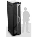 AtlasIED Texas Tough 45RU 35" Deep Rack with Perforated Door