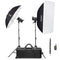 Godox SK300II-V Studio Flash Monolight (2-Light Kit)